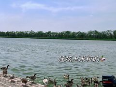 -南大港湿地风景区
