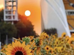 -海心沙亚运公园