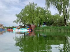 -WhaleSports户外水上运动俱乐部(朝阳公园店)