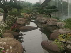 -罗红摄影艺术馆