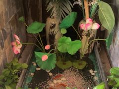-怡泰SPA·泰疗按摩(徽宁路店)