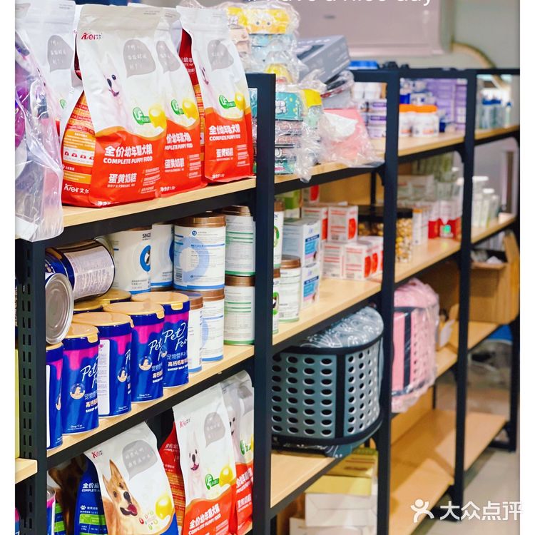 天津探店|唯爱宠物·猫狗专卖（河西店）