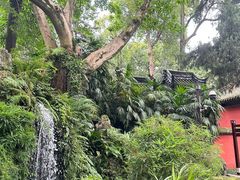 -成都武侯祠博物馆