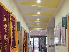 -千城康桥宠物医院·猫科·骨科·心脏