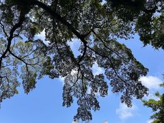 -桂林独秀峰王城景区