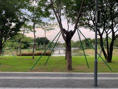 -王借岗森林公园