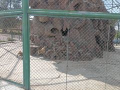 -新疆天山野生动物园