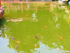 -拜将坛
