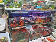 -曲阳花鸟市场(曲阳路店)