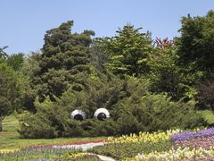 -沈阳植物园