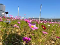 -光明小镇欢乐田园