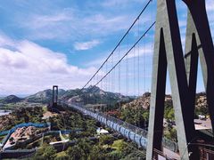 -西霞口神雕山野生动物世界