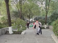 -铁山坪森林公园