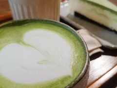 -No Cat 手碟