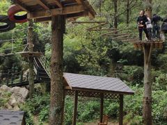 -梦幻奥陶纪景区