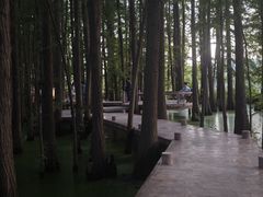 -东湖落雁景区