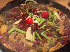 -老板恋上鱼(恒隆广场店)