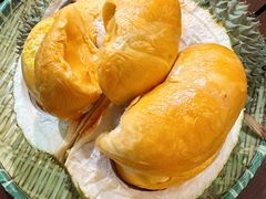 -榴莲BB 四季果园