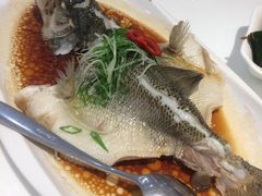 -至潮餐厅精致粤菜·活鲈鱼·走地鸡(珠江新城店)