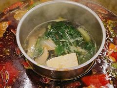 -金鼎雪山牦牛杂火锅(理县总店)