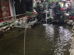 -鹅城