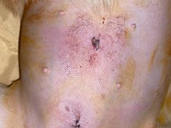 -爱诺耐芙动物医院(万博店)