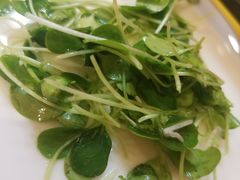 -惠丰堂饭庄(北洼路店)