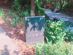 -广州市帽峰山景区