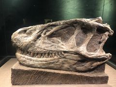 -自贡恐龙博物馆