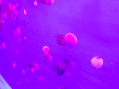 -多彩贵州城极地海洋世界