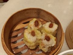 -金鼎轩(方庄天坛店)