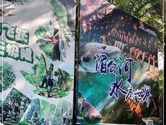 -西双版纳原始森林公园