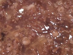 -庆丰包子铺(大慧寺22号平房店)