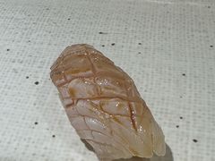 -镹·鱼料理  国产鱼使用店