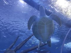 -多彩贵州城极地海洋世界