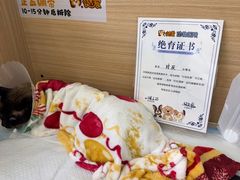 -达爱动物医院·犬猫分区·CT·复杂眼科(远洋山水分院)
