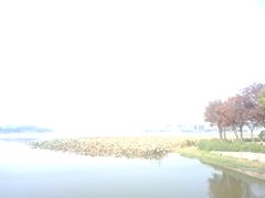 -月湖风景区
