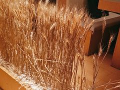 -西村日本料理(香格里拉饭店)