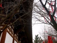 -西安青龙寺遗址景区