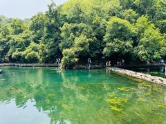 -南京珍珠泉风景区