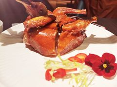 老广乳鸽-鹊玥·粤菜小馆(汇智国际商业中心店)