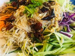 -邵年鸽(杨庄店)