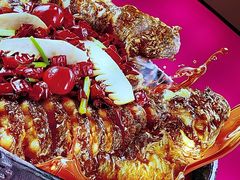 -老板恋上鱼(恒隆广场店)