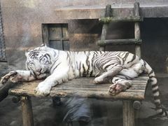 -西安秦岭野生动物园