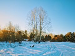 -北极村旅游风景区