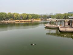 -大兴滨河森林公园