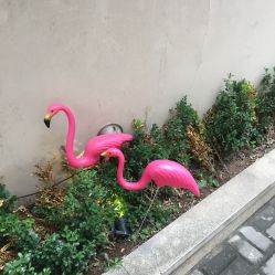 -OOAK设计师品牌概念店(新乐路店)