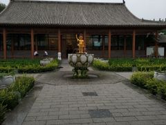 -白洋淀景区