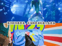 -南昌海洋公园