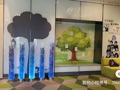 -黑马眼科·近视手术
